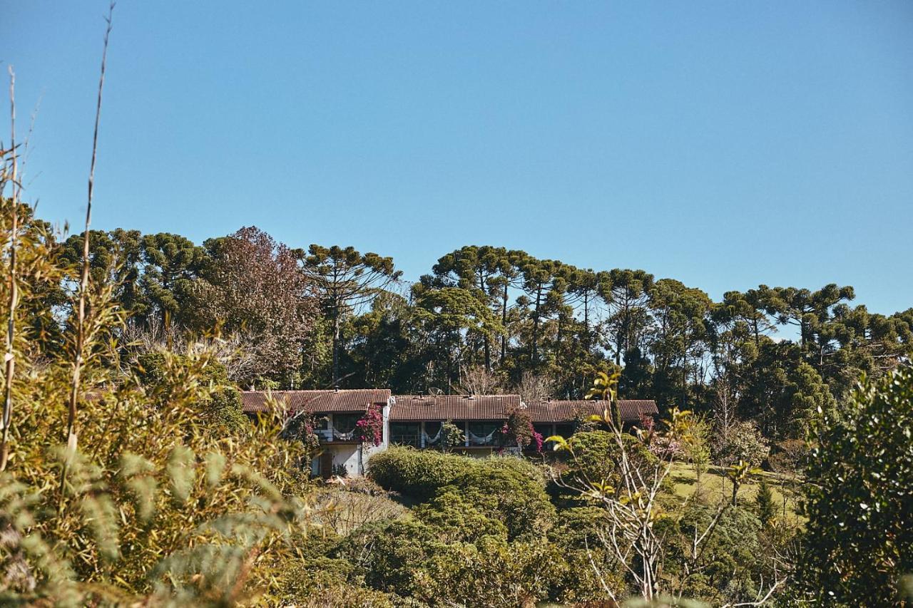 Pousada Do Cedro Santo Antônio do Pinhal Dış mekan fotoğraf